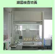 細菌検査培養